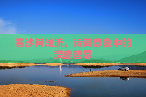 寒沙带浅流，诗词意象中的深邃哲思