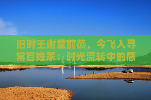 旧时王谢堂前燕，今飞入寻常百姓家：时光流转中的感慨