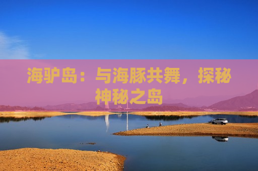 海驴岛：与海豚共舞，探秘神秘之岛