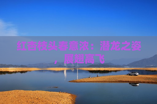 红杏枝头春意浓：潜龙之姿，展翅高飞