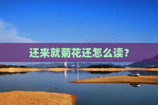 还来就菊花还怎么读？