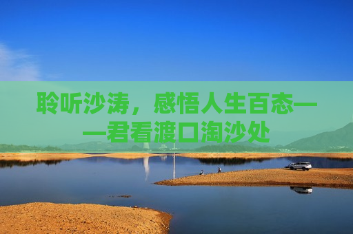 聆听沙涛，感悟人生百态——君看渡口淘沙处