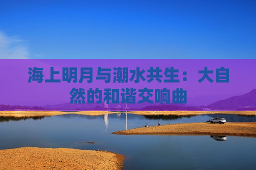 海上明月与潮水共生：大自然的和谐交响曲